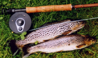 truchas en asturias,pesca truchas,asturias mosca,pesca a mosca pesca mosca